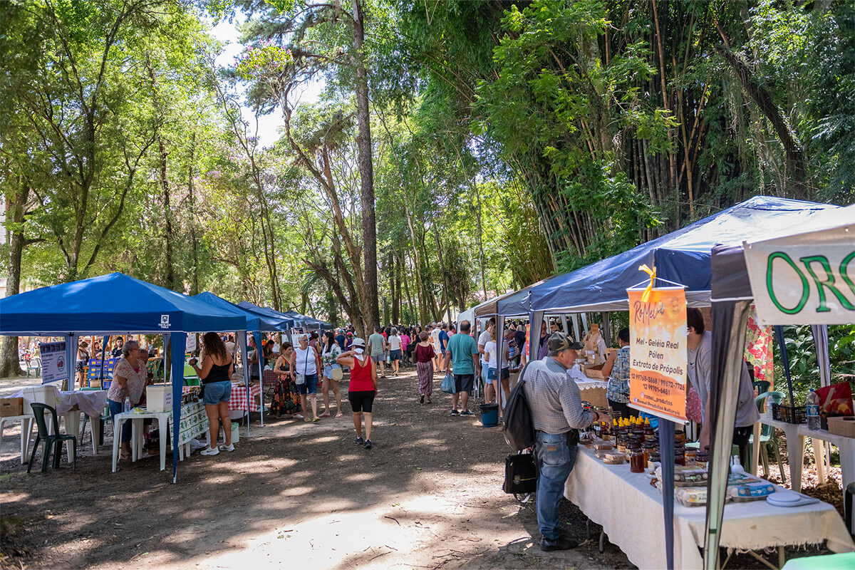 feira verde no parque