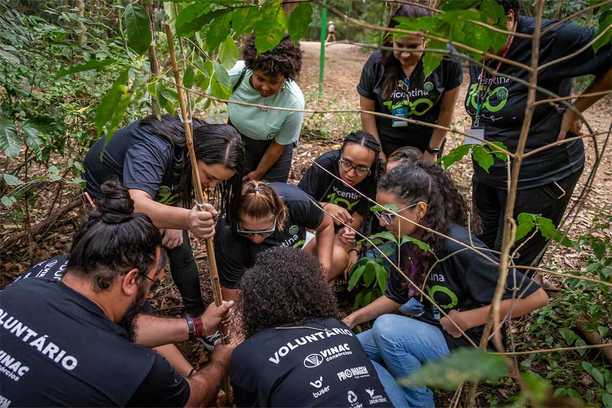 parque vicentina aranha seja um voluntario